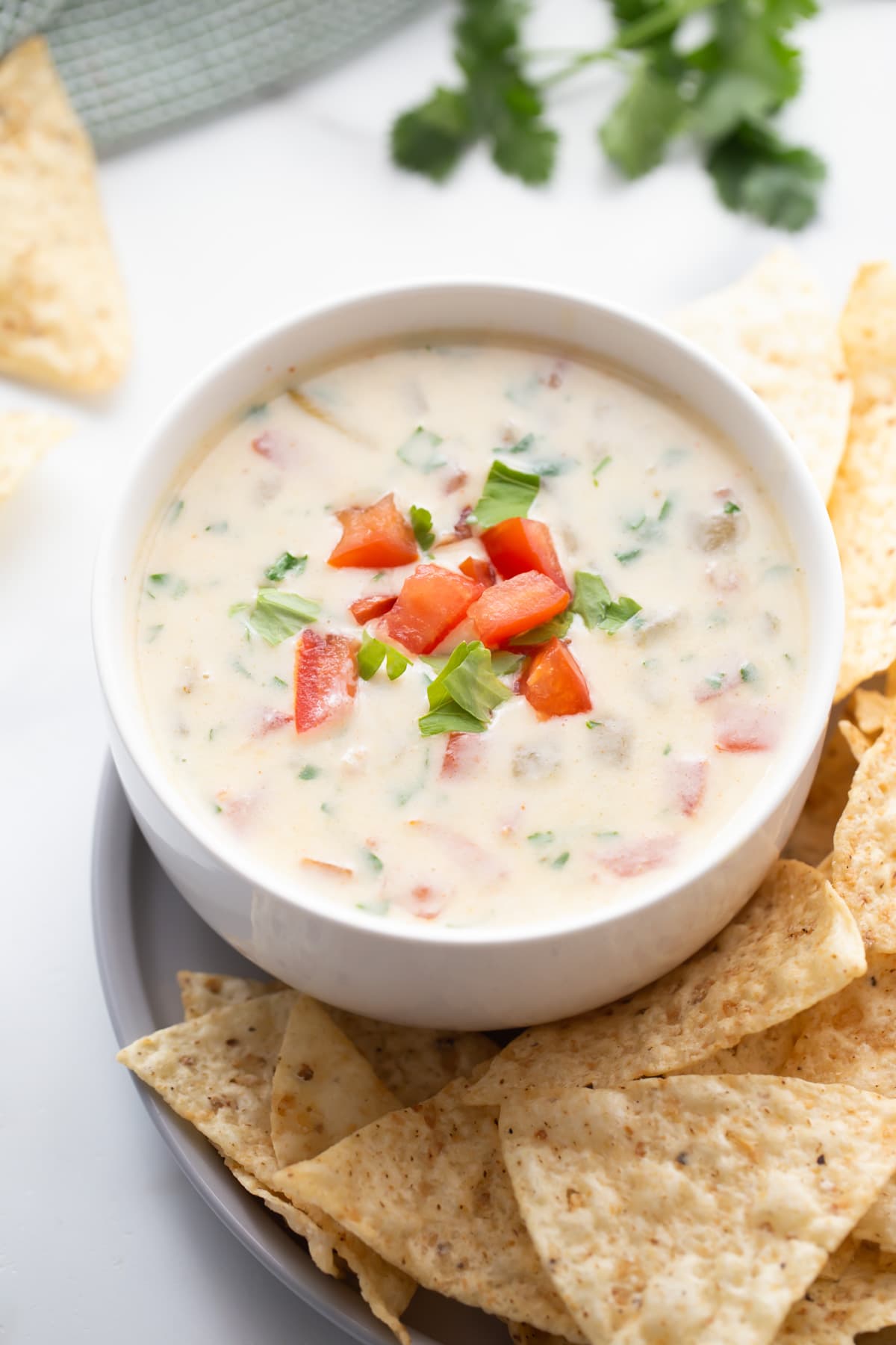 Queso blanco recipe in white bowl with tomatoes and cilantro on top.