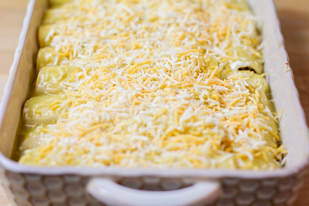 Chicken enchiladas in baking dish with shredded cheese on top.