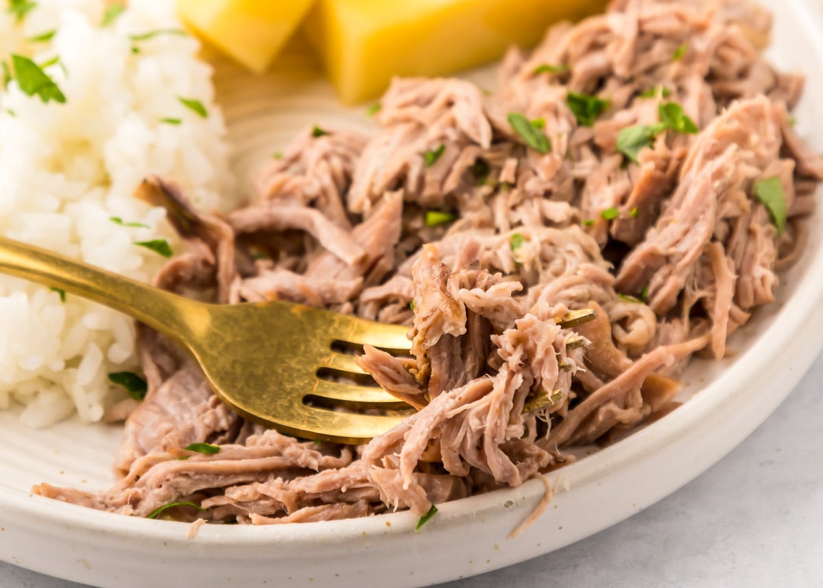 Close up of a gold fork in shredded pork on a plate.