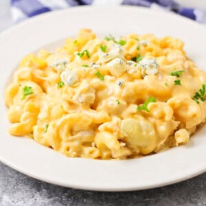 A white bowl of buffalo chicken mac and cheese.