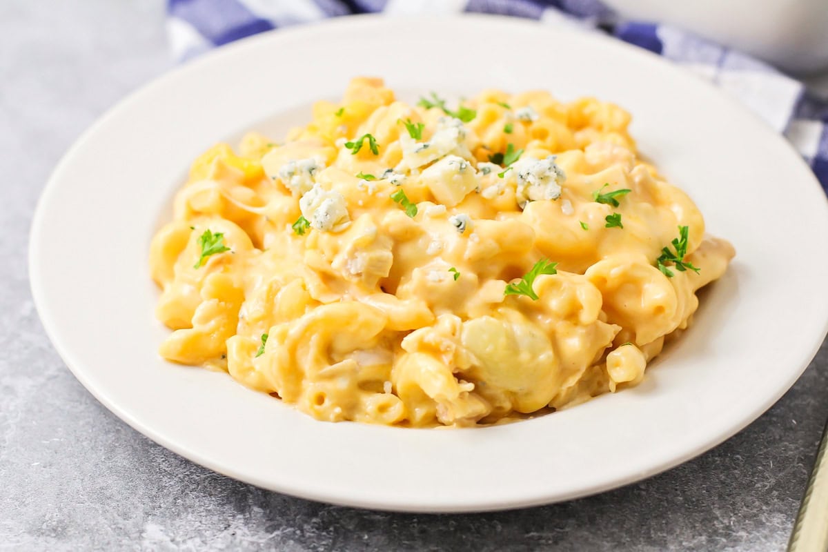 A white bowl of buffalo chicken mac and cheese.