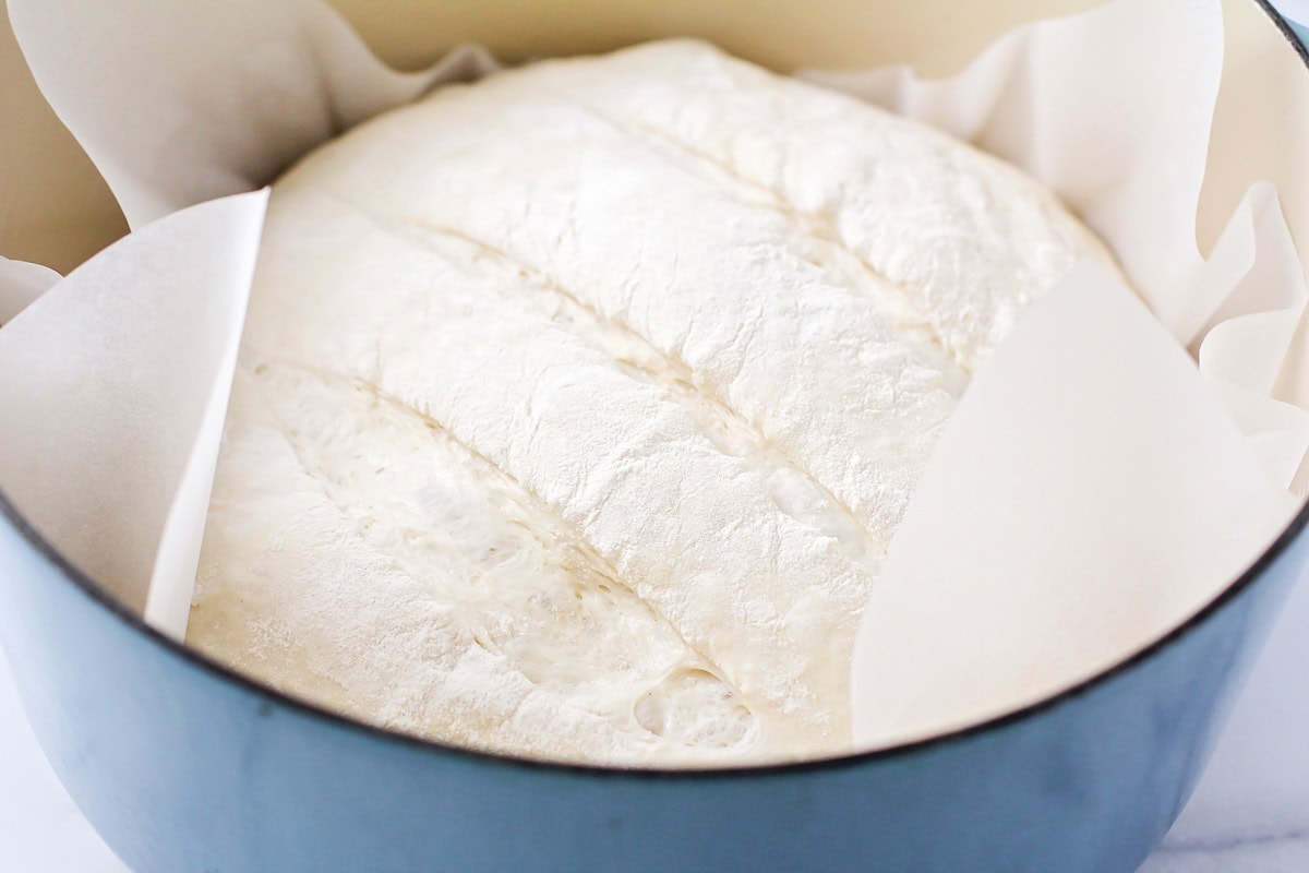 Dough ball in dish ready to be baked in oven.