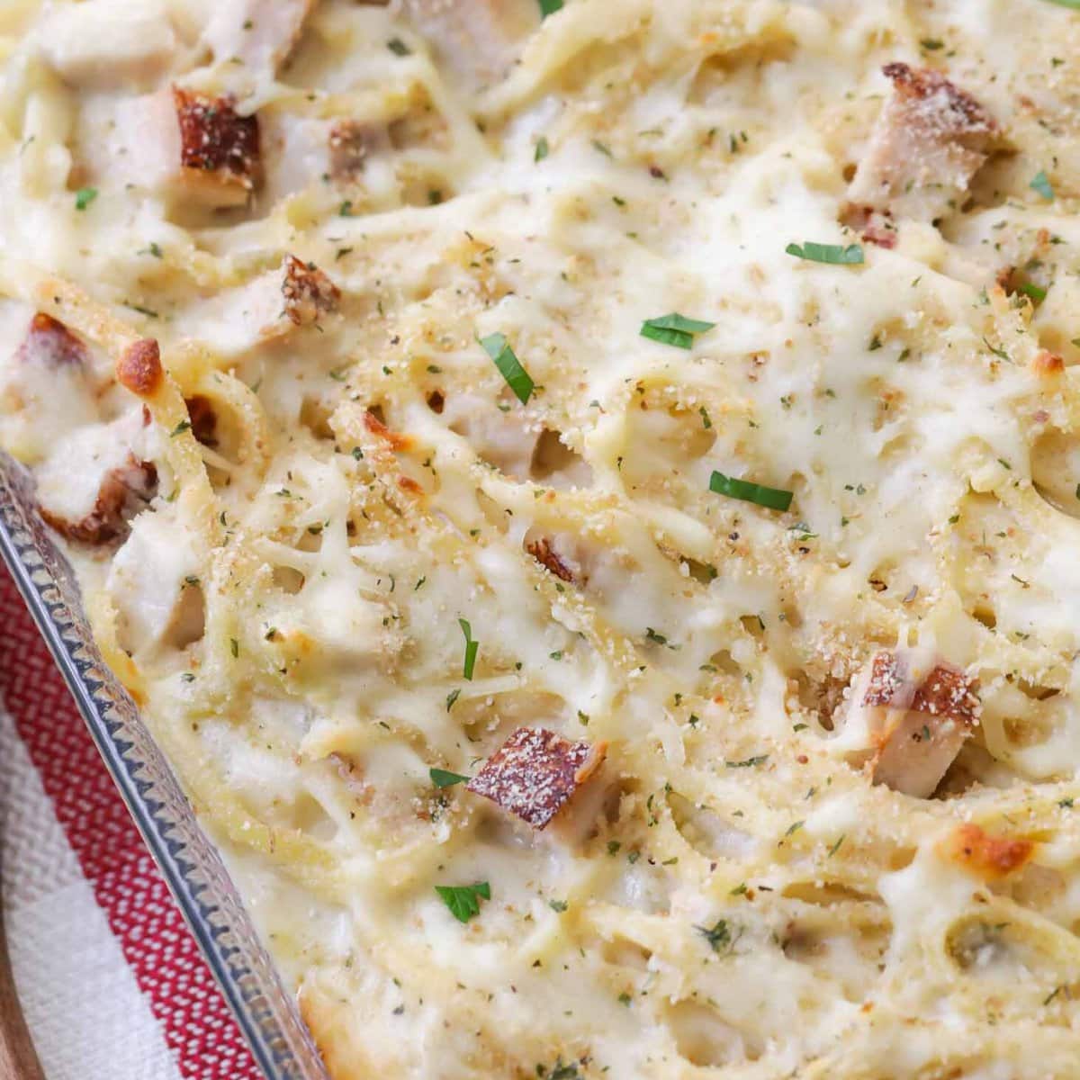 Close up image of Turkey Tetrazzini in baking dish. 