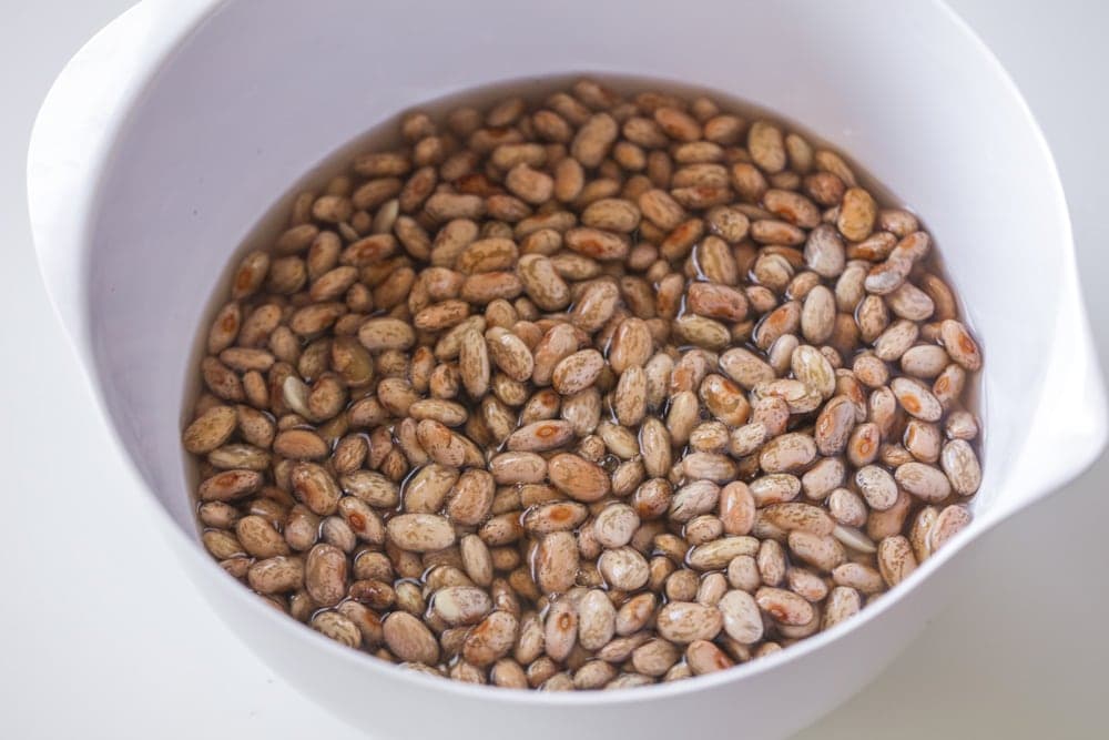 A large mixing bowl full of dried pinto beans.