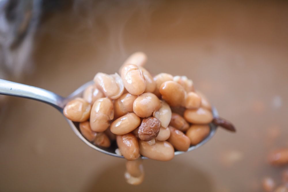 A spoonful of cooked, steamy pinto beans. 