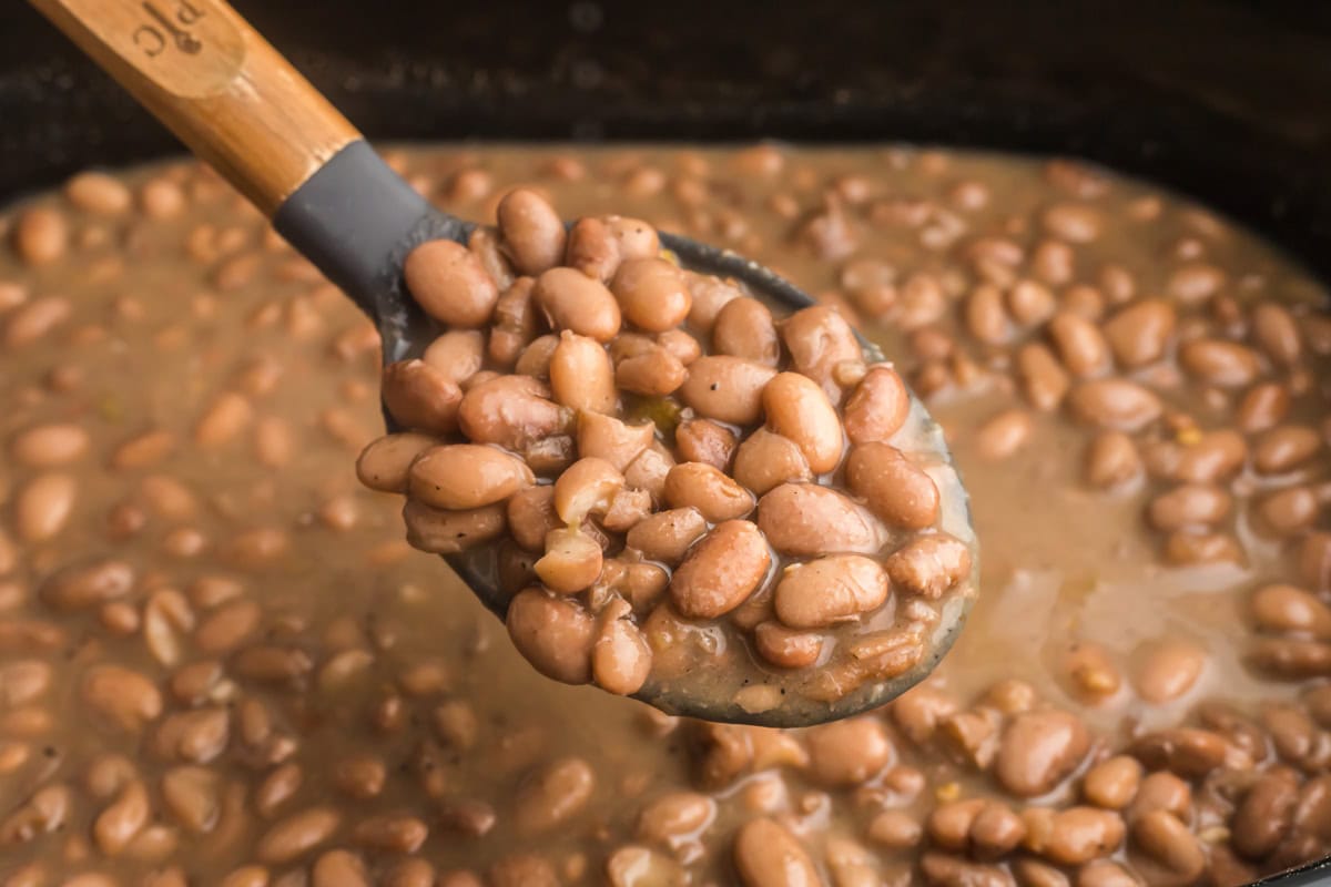 Cooked pinto beans on a black serving spoon.