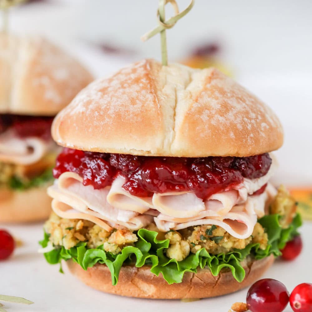 Turkey cranberry sandwich close up image.