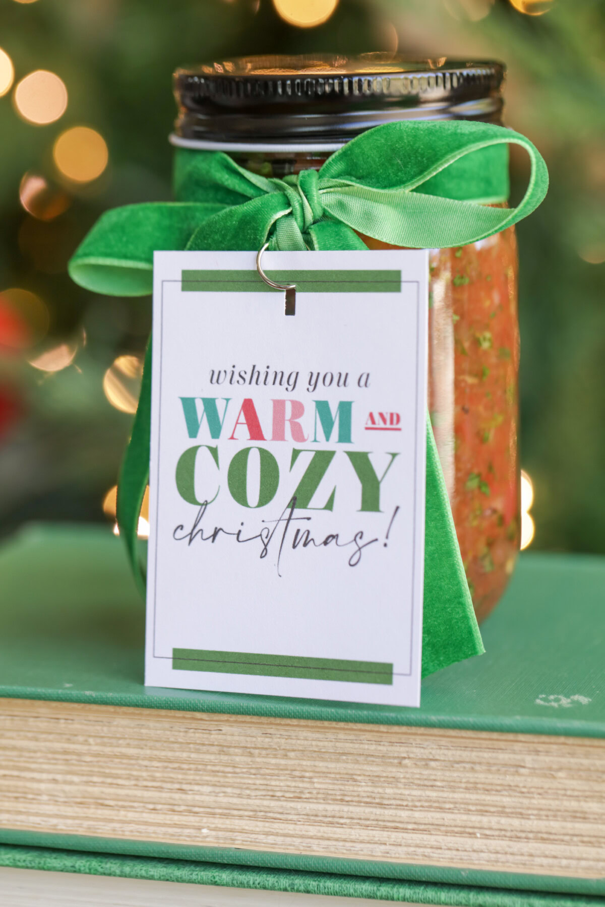 Warm and Cozy gift tags attached to salsa gift.