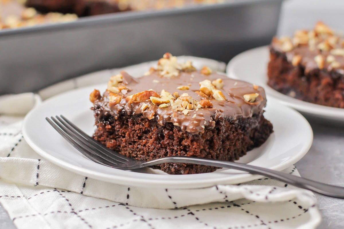 Chocolate sheet cake slice on a white plate topped with nuts.