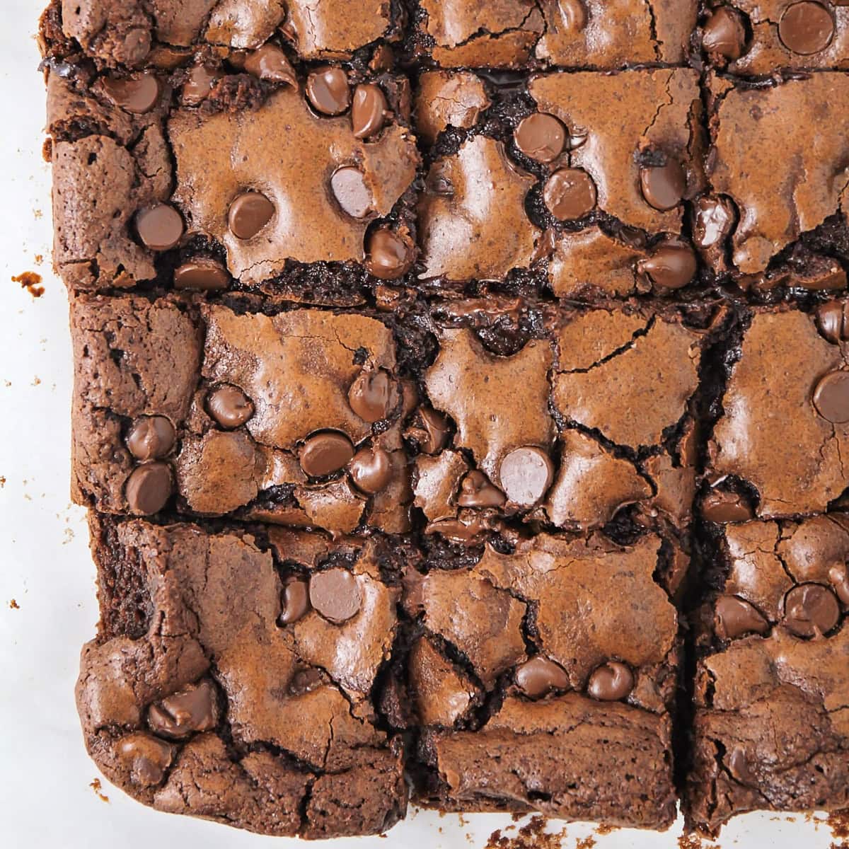 Close up of homemade brownie recipe cut into squares.