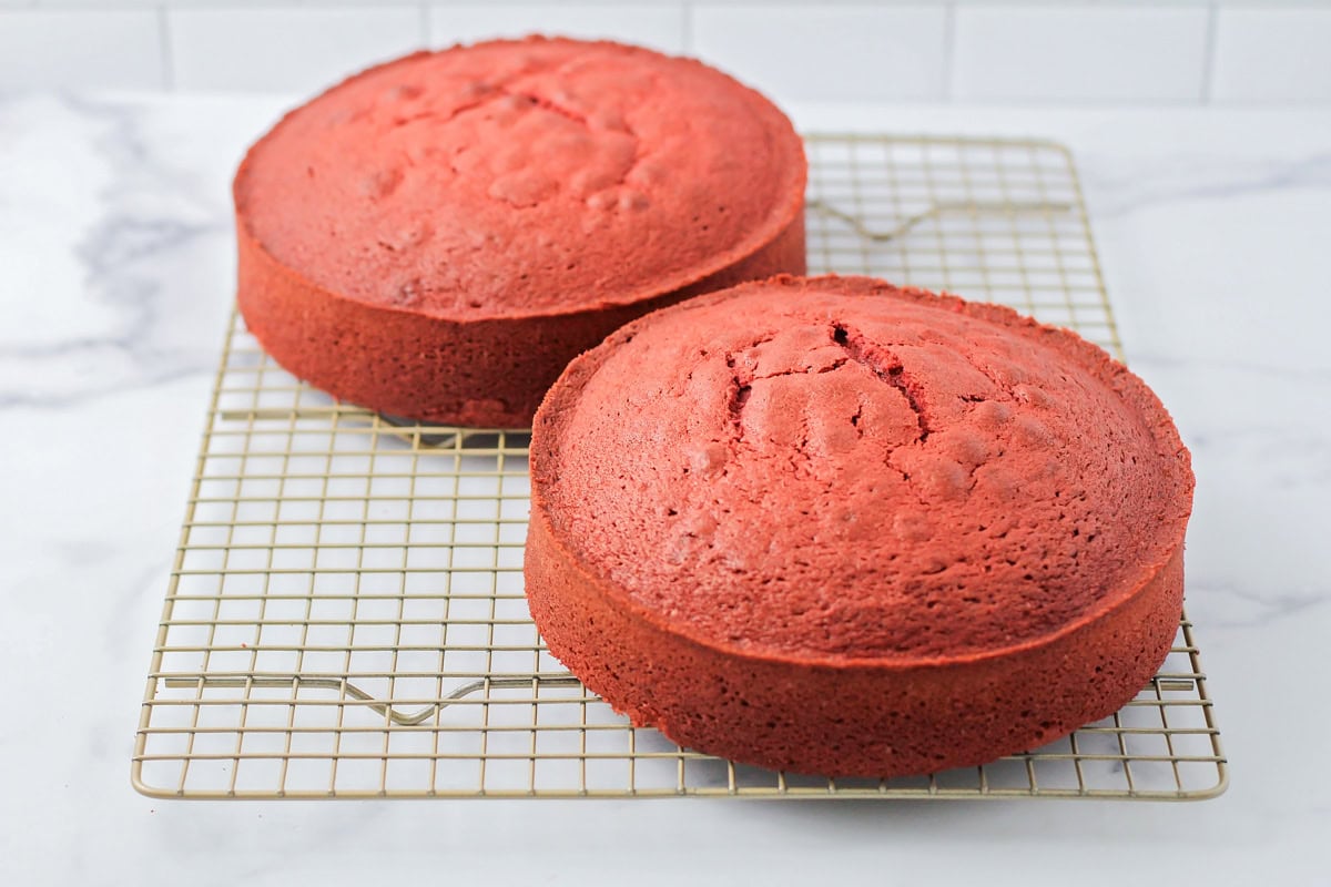 Two baked cake rounds cooling on a wire rack.