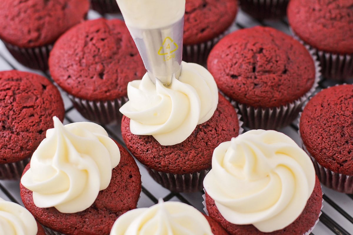 Piping cream cheese frosting on baked cupcakes.