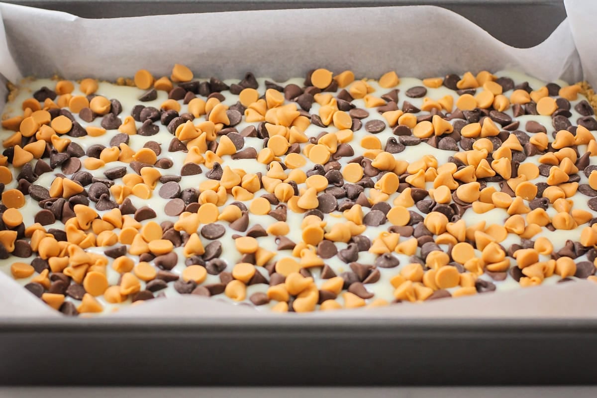 This homemade 7 layer bars recipe is rich, gooey, and loaded with chocolate, coconut, and nuts for the ultimate, easy dessert! Adding chips and sweetened condensed milk layer to the crust.