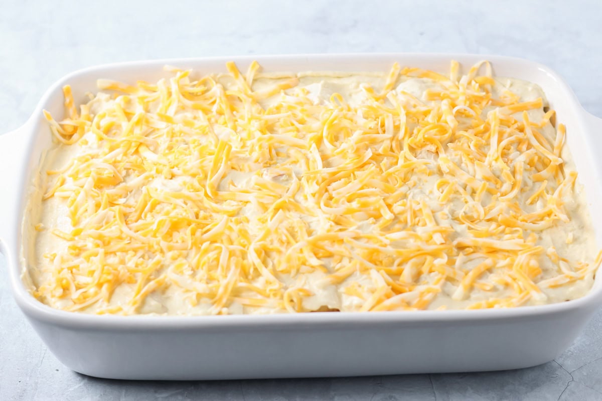 A baking dish of creamy chicken enchiladas topped with shredded cheese.