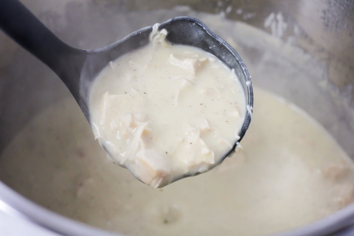 A ladle of chicken gravy.