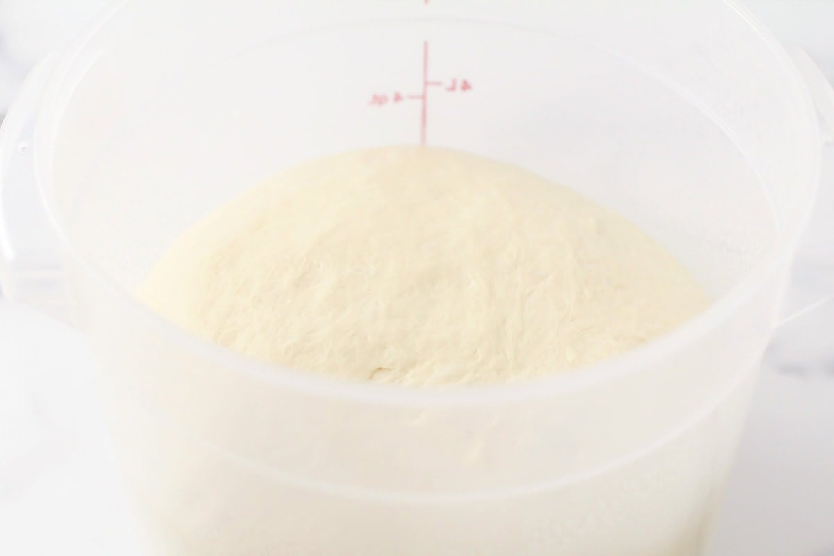 Dough rising in a plastic bowl.