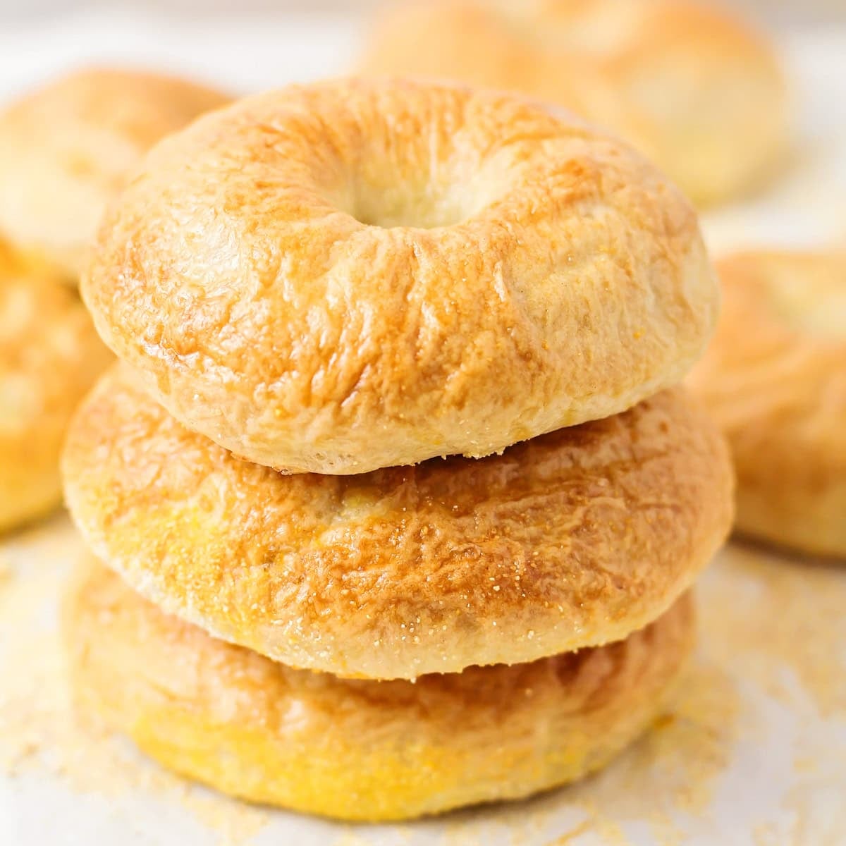 Bagel Recipe