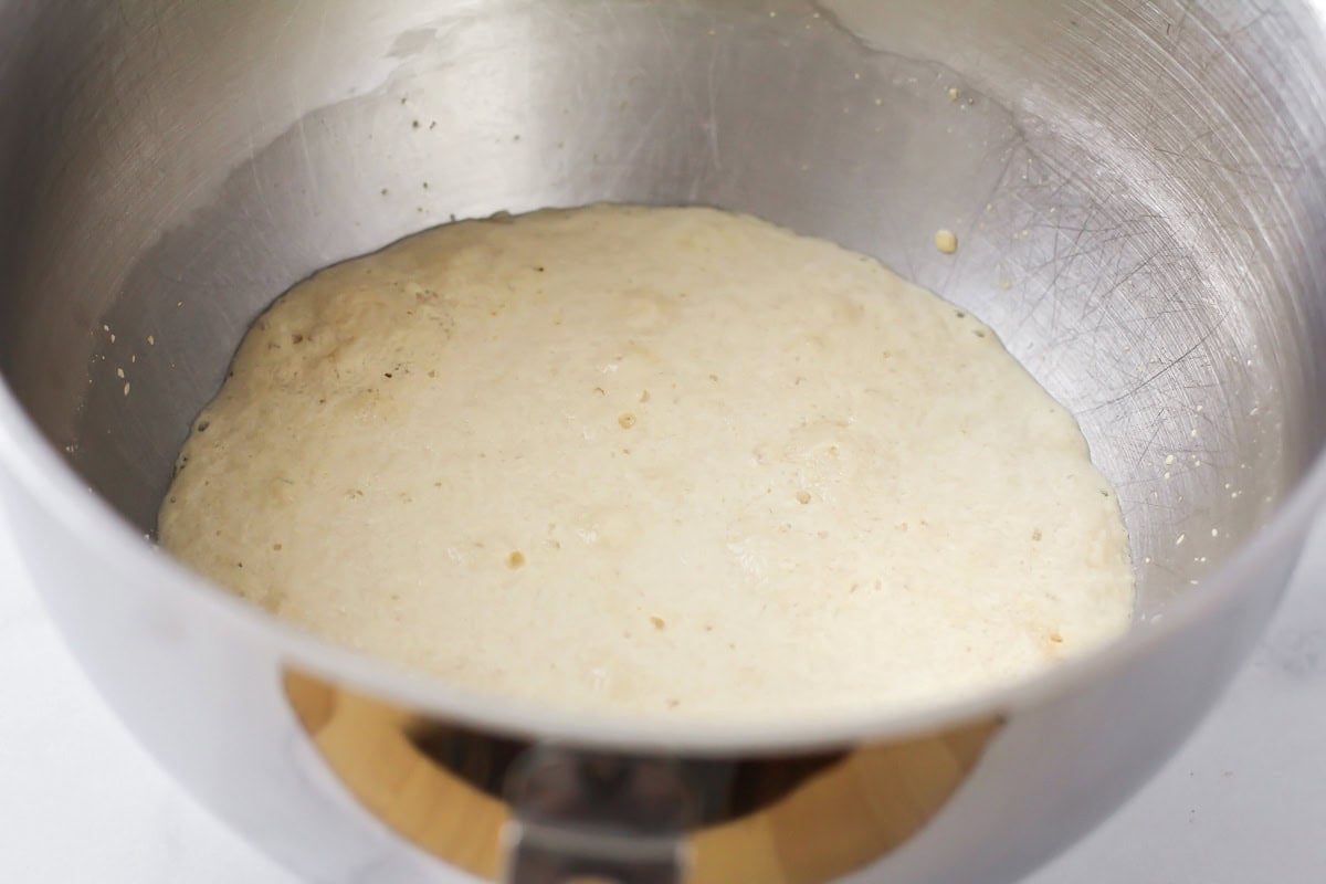 Yeast mixture in a metal bowl.