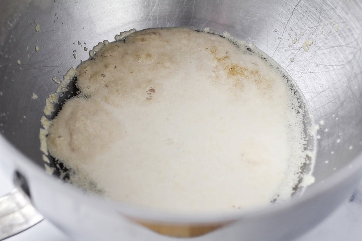 Yeast mixture in a mixing bowl.
