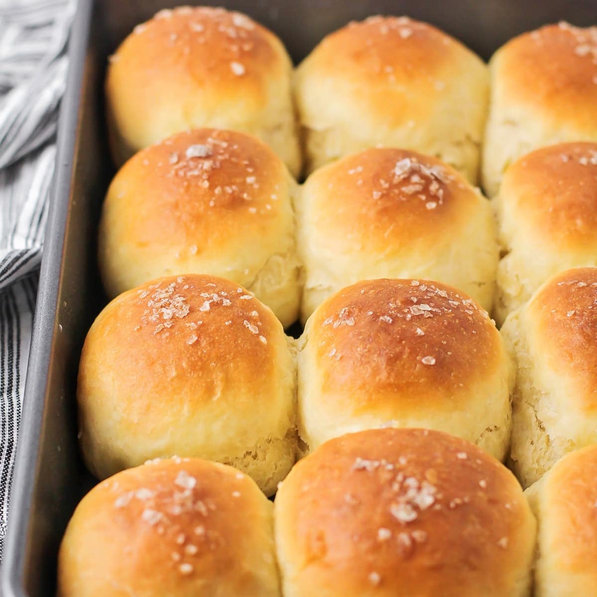 Quick Dinner Rolls