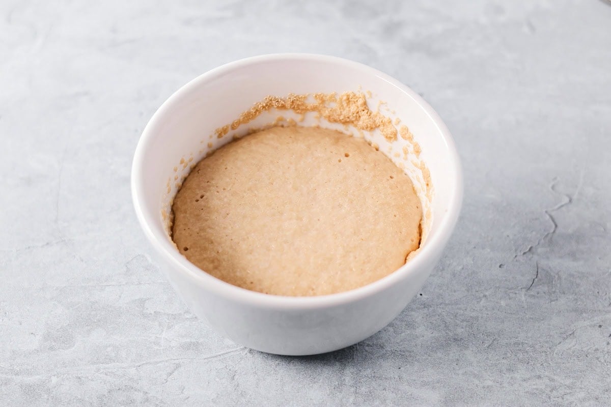 Yeast mixture in a white bowl.
