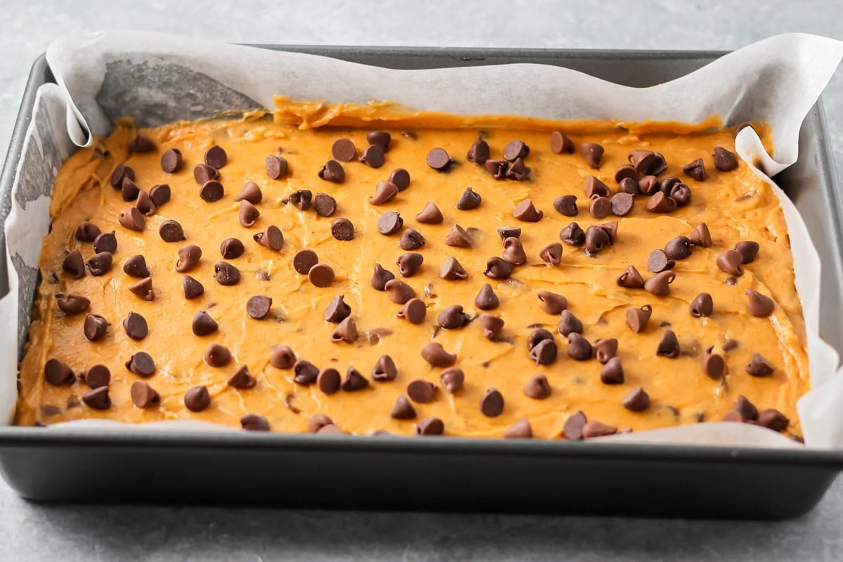 Pumpkin batter spread in a baking pan with chocolate chips sprinkled on top. 
