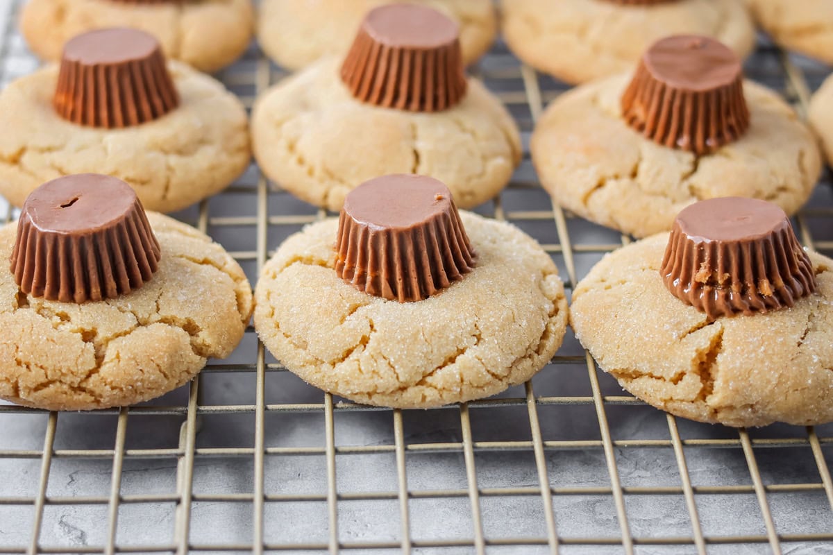 These easy and cute Peanut Butter Spider Cookies are the perfect sweet treat to get you in the spooky spirit. A wire rack full of baked peanut butter cookies; each cookie has a mini Reeses peanut butter cup on the center.