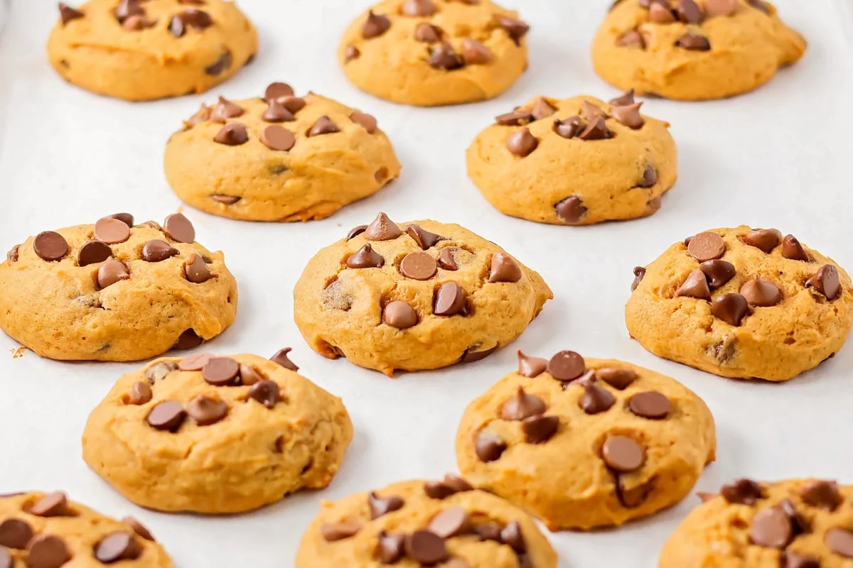 Pumpkin chocolate chip cookies baked on cookie sheet.