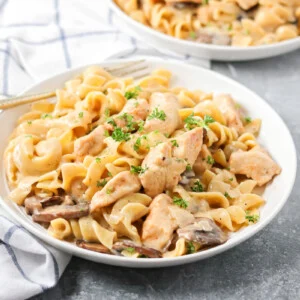 Homemade chicken stroganoff served on a plate.