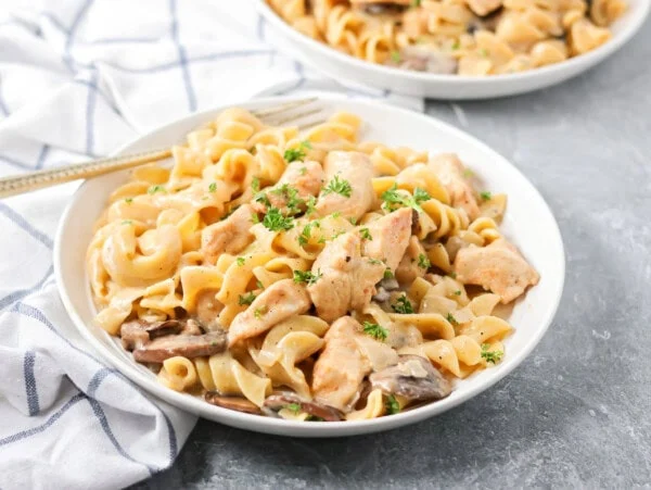 Homemade chicken stroganoff recipe served on a plate.