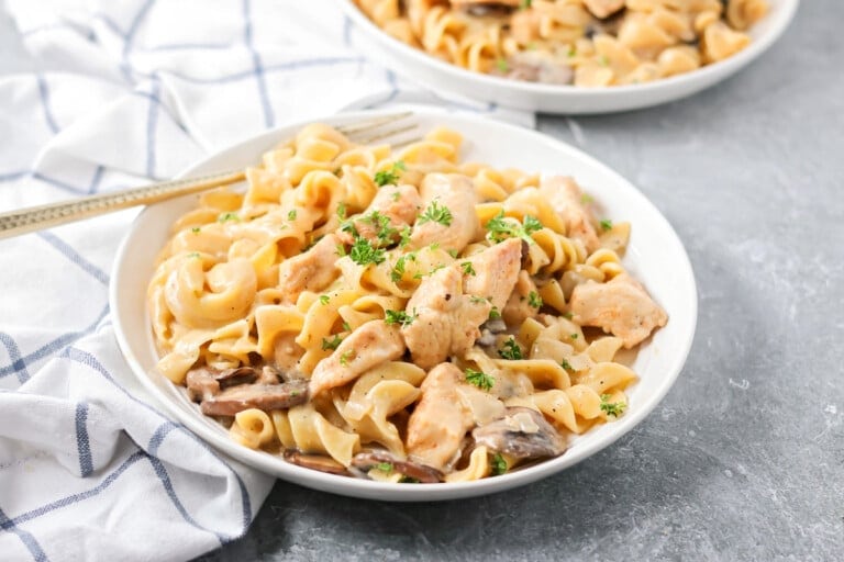 Homemade chicken stroganoff recipe served on a plate.