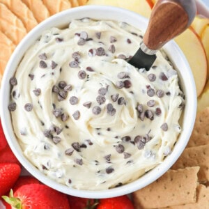 Chocolate chip dip served in a white bowl alongside dippable items.