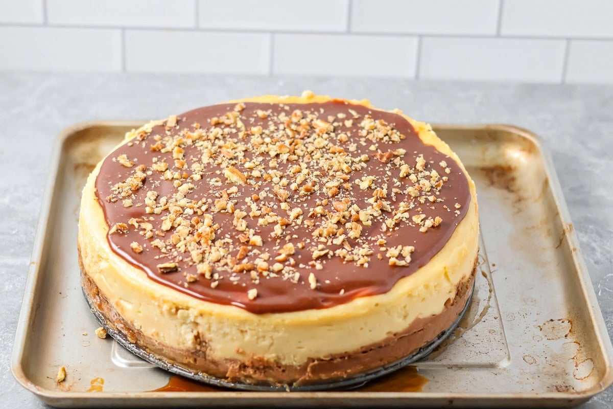 Caramels sauce, melted chocolate and chopped peans spread on top of a baked cheesecake.