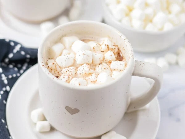 Crockpot hot chocolate recipe poured into mug with marshmallows in it.