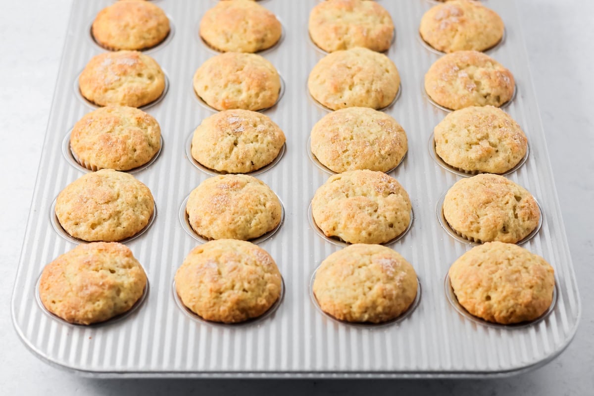 Mini banana muffins baked up in muffin tin.
