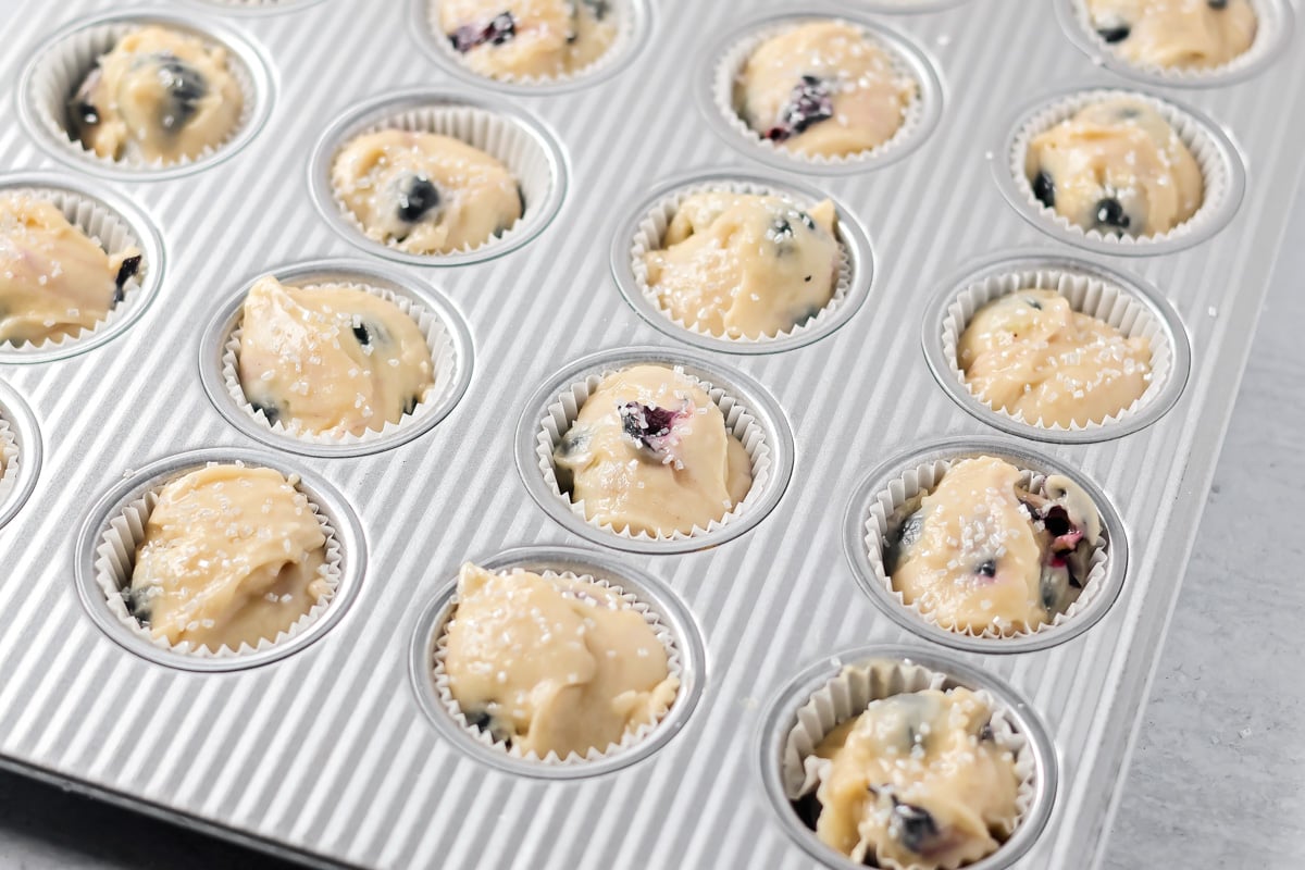 Mini blueberry muffin batter poured into mini muffin tin.