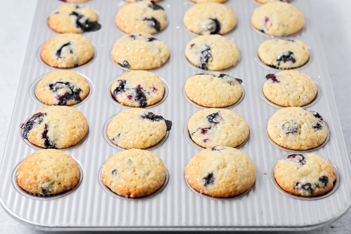 Mini Blueberry Muffins baked in mini muffin pan.