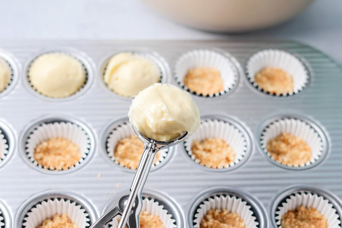 Cheesecake being served into mini cheesecakes.