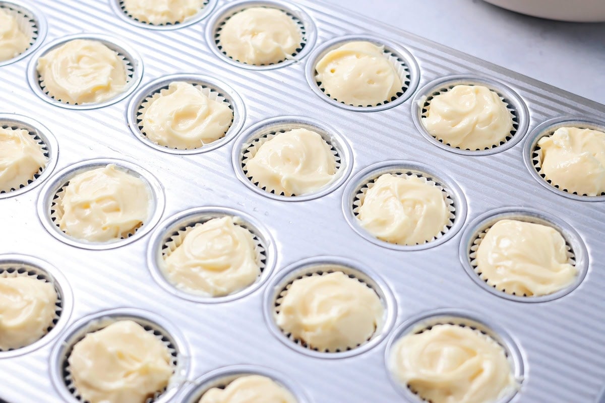 MIni cheesecakes in mini muffin tin.