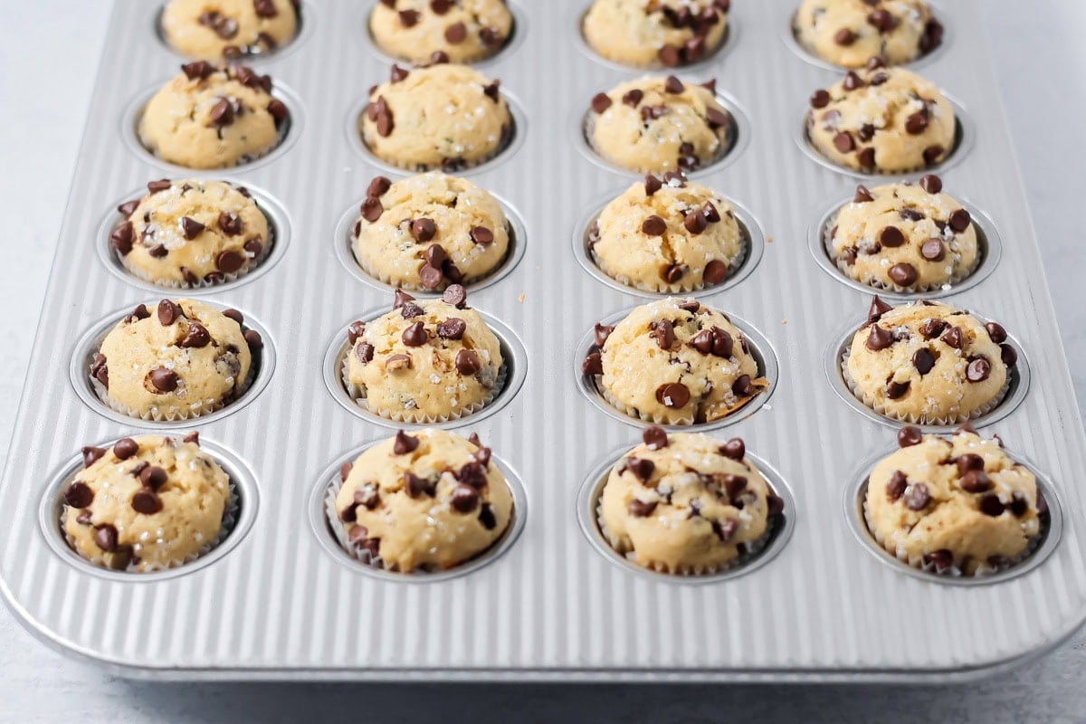 Mini chocolate chip muffins baked up in mini muffin trays.