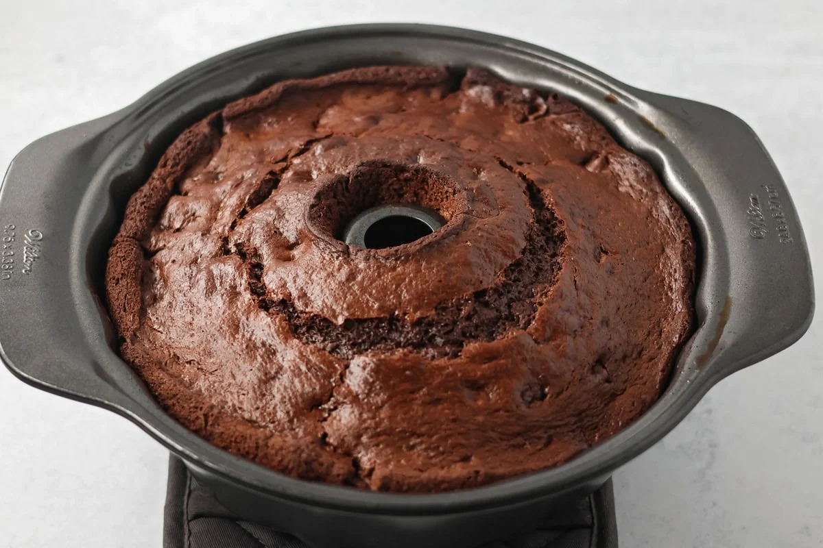 Brownie cake baked in bundt pan.