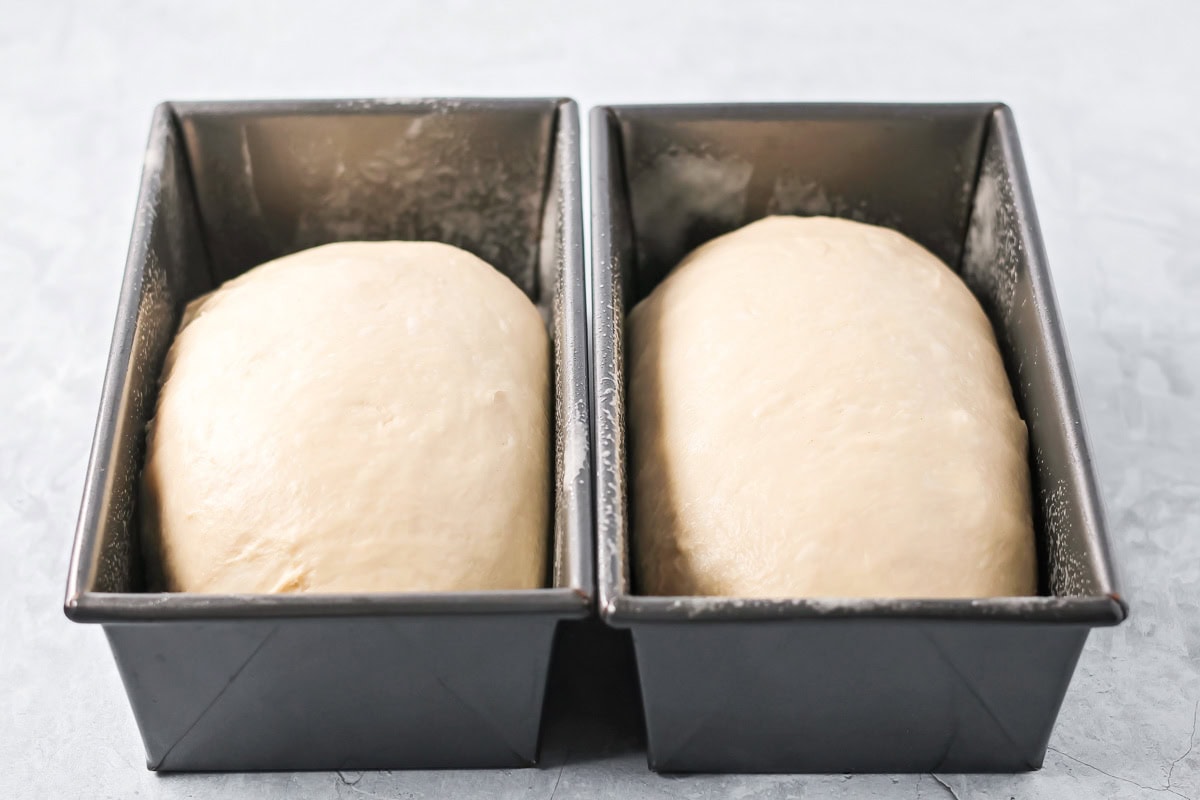Two loaves in two bread pans.