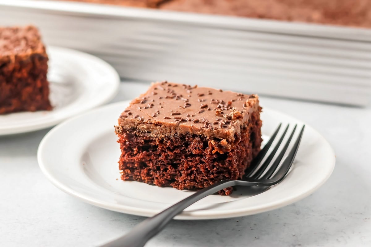 A slice of chocolate pumpkin cake served on a white plate.