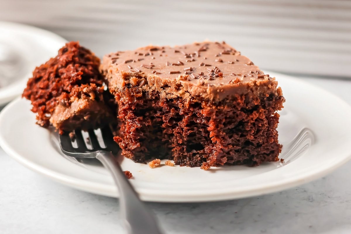 A slice of chocolate pumpkin cake with a bit missing.