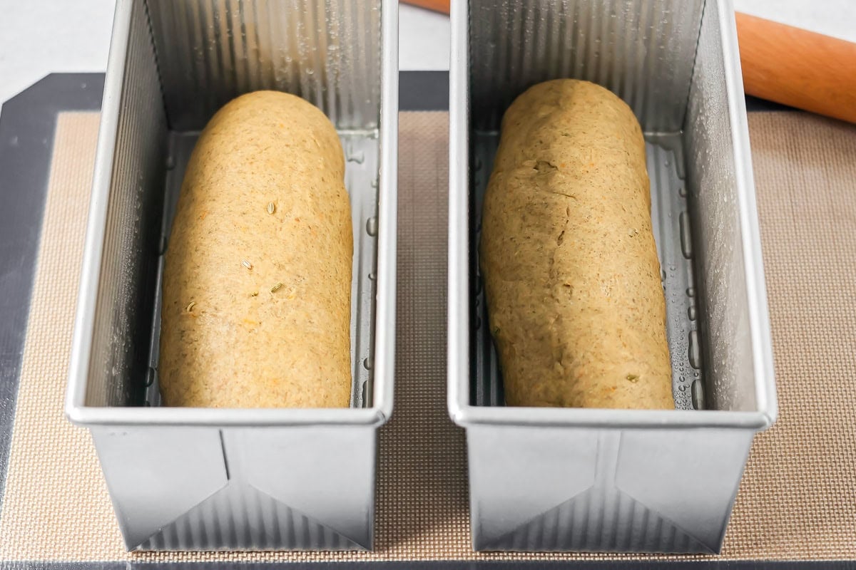 Two loaves of swedish limpa bread rising in bread pans.