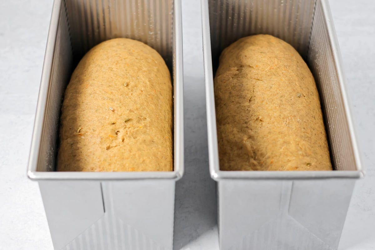 Two loaves of swedish limpa bread ready to be baked.